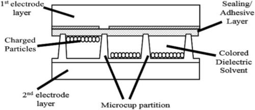 Últimas notícias da empresa sobre Visor Eletroforético