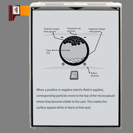 comprar PVI EPD 7.8 polegadas E Papel Display Module, 1404 * 1872 Pixels Digital Papel Display online manufacture