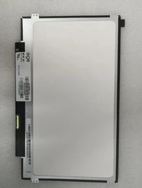 comprar BOE 11,6 